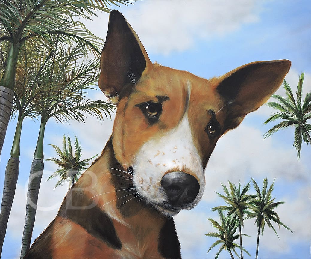 Fiji Dog
