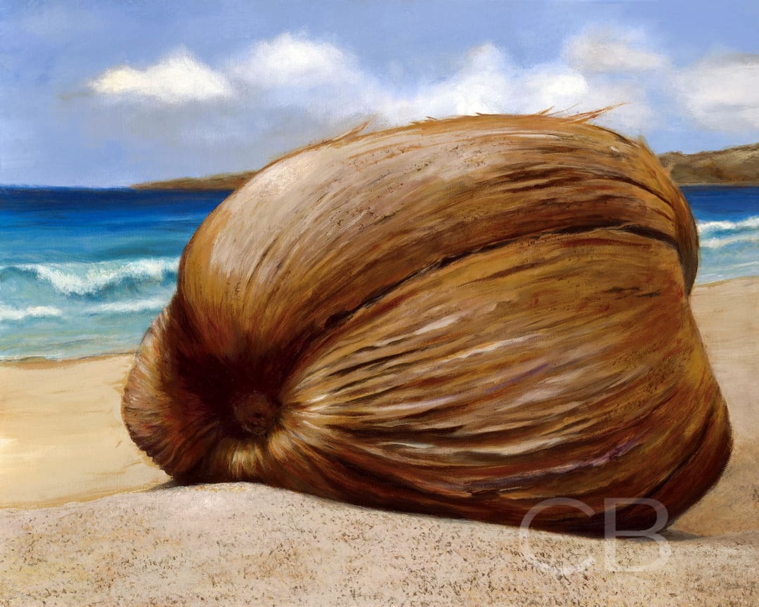 Beach Coconut