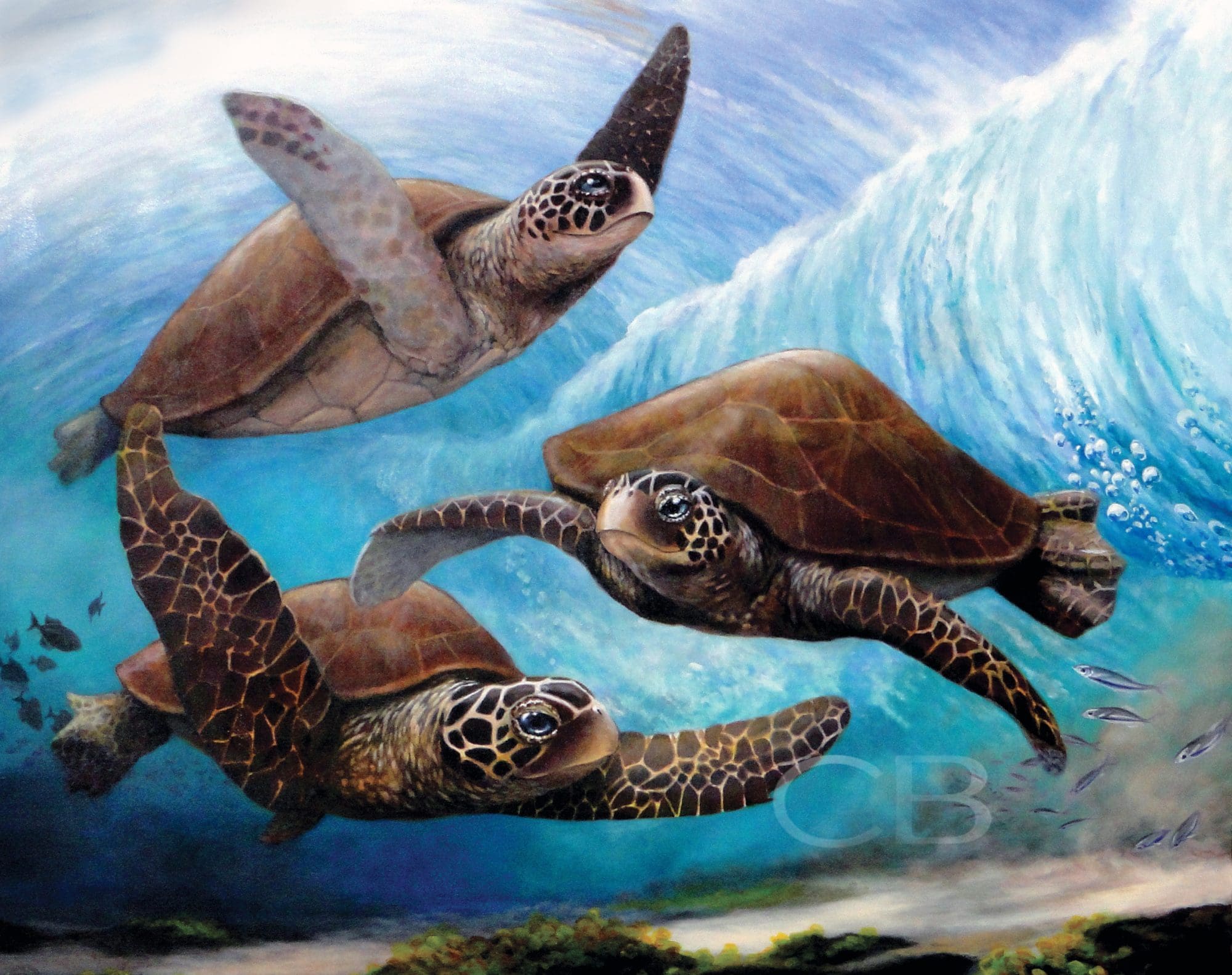 Surfing Sea Turtles
