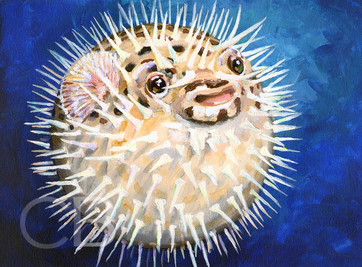 Puffer Fish