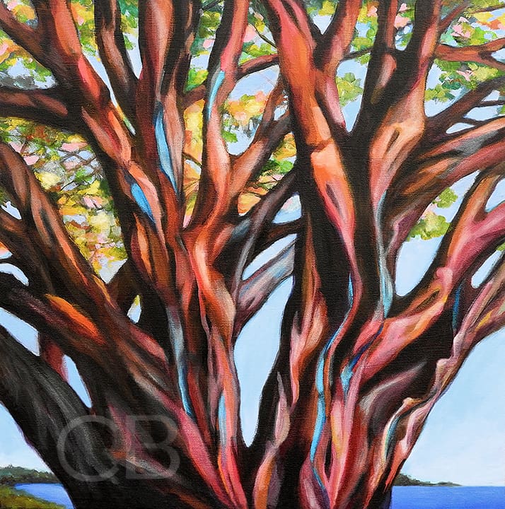 Beloved Banyan