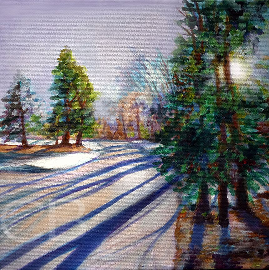Winter Walk