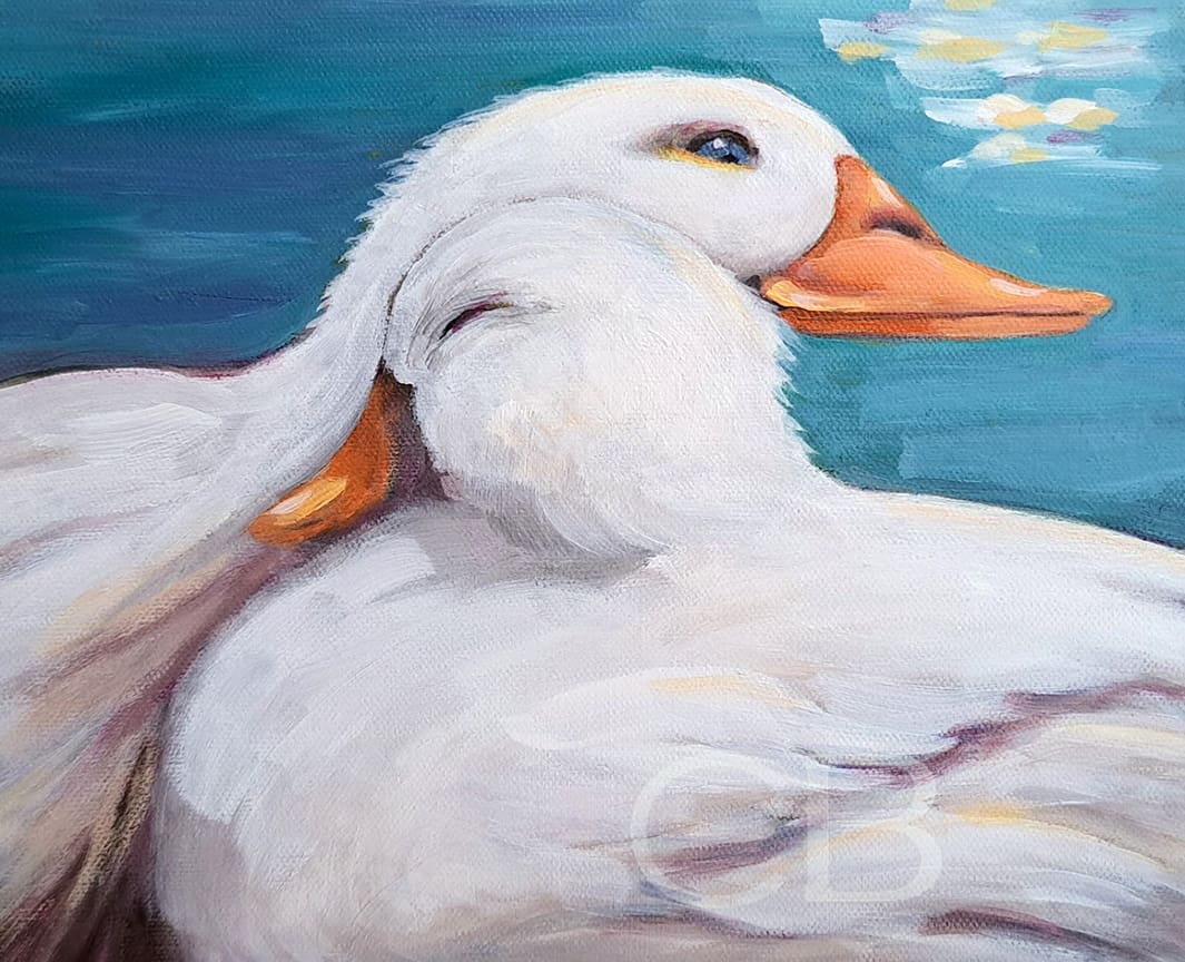 Duck Friends