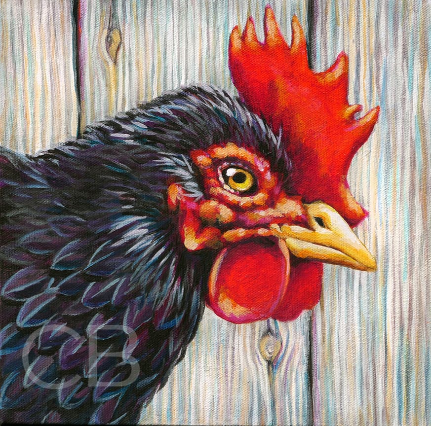 Rooster Portrait