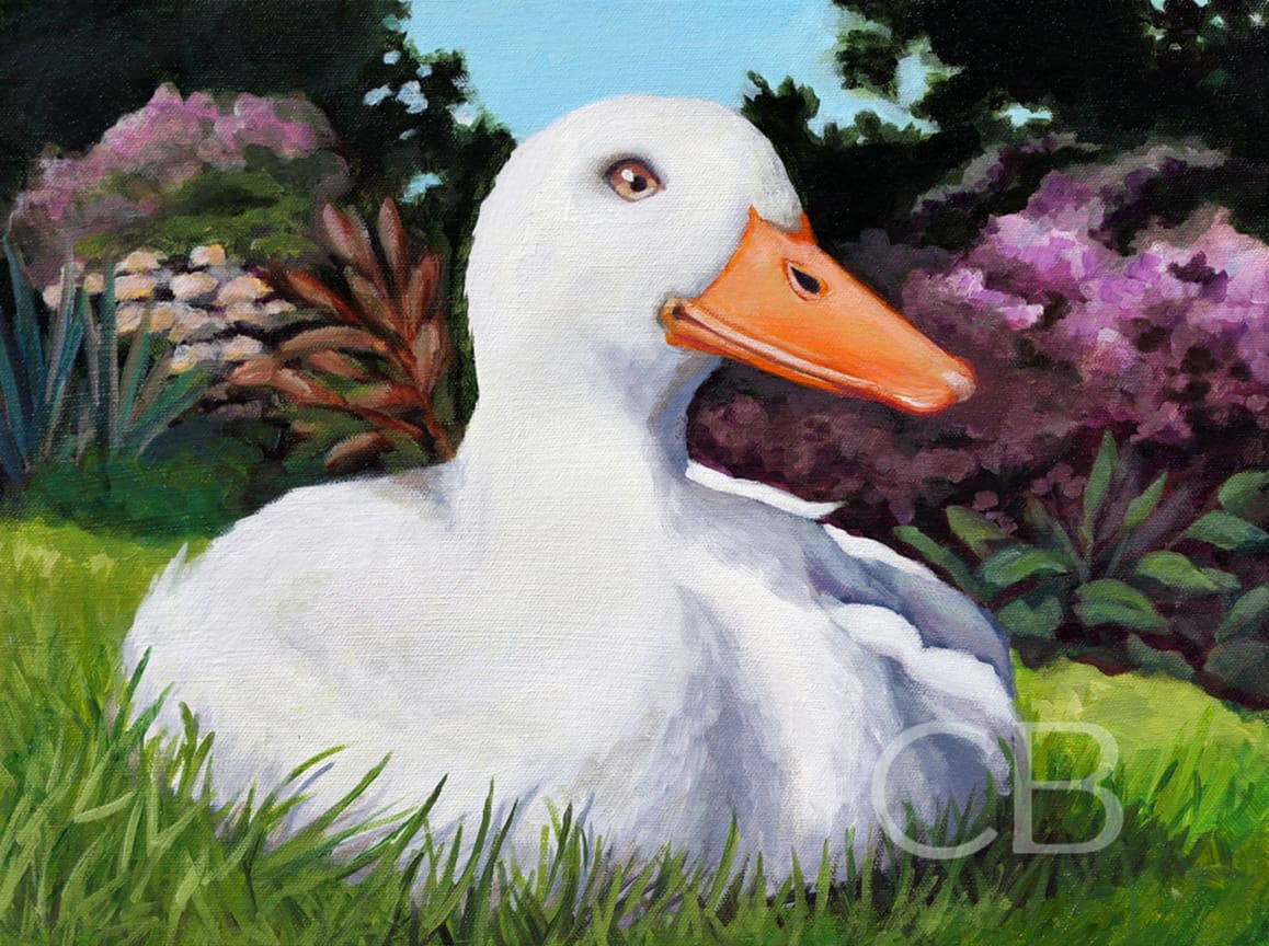 Lawn Duck