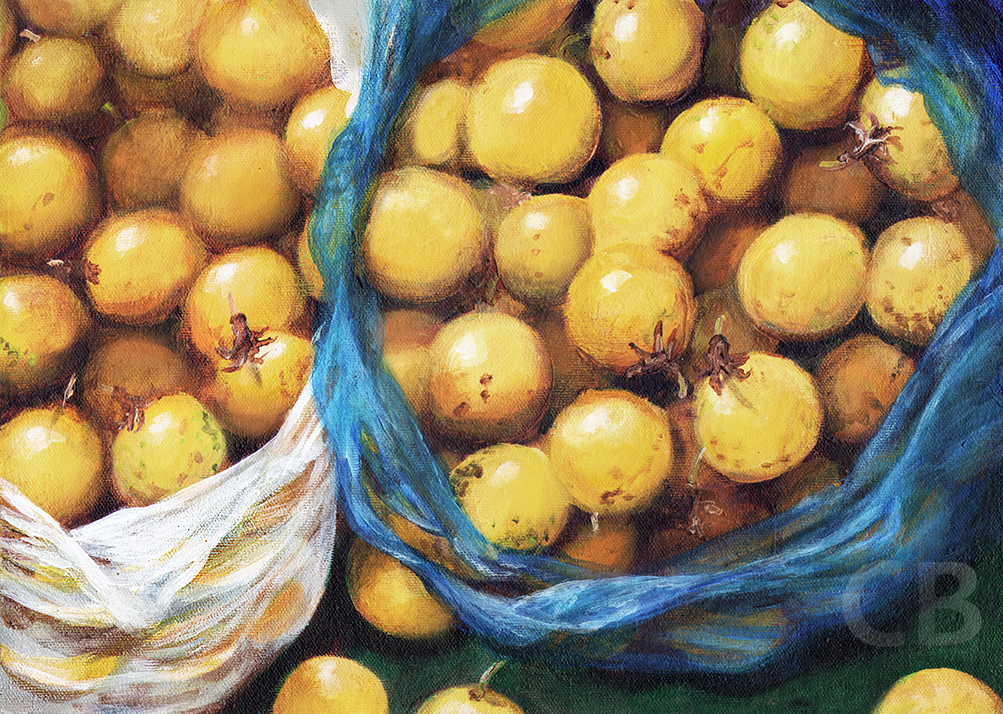Harvest Gift