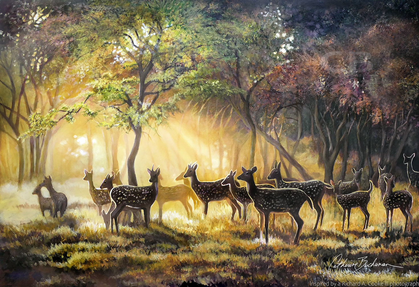 Sunrise Gathering